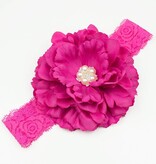 Baby haarbandje pioenroos op kant (fuchsia)