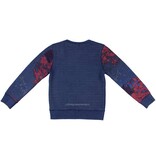 DJ Dutchjeans Trui Living | DJ Dutchjeans kinderkleding