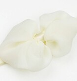 Baby haarbandje met chiffon strik (ivoor)