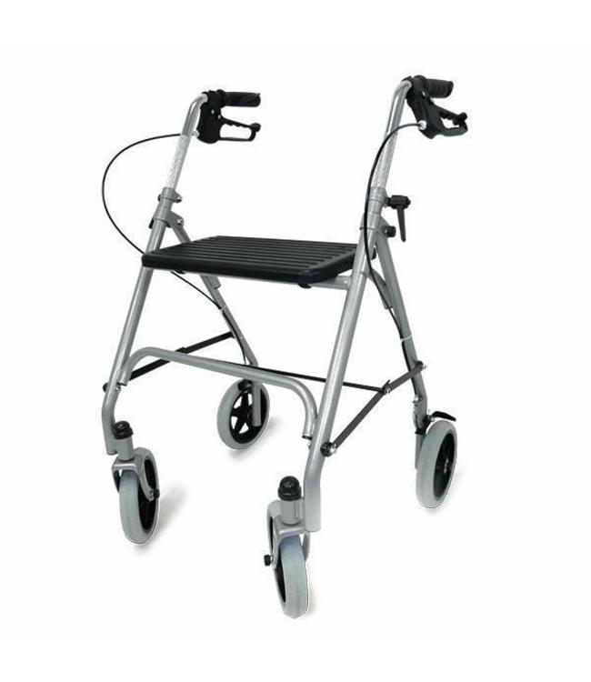 Drive Rollator Road