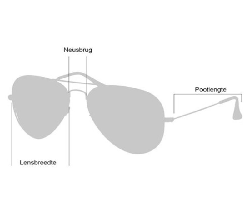 Zonnebril CL Marta 41093/S