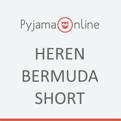 Heren bermuda