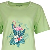 Temptation Dames Nachthemd - Bigshirt - Slaapkleed - Korte Mouwen - 100% Katoen - Groen