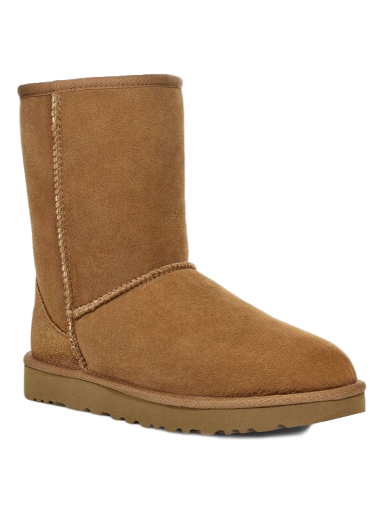 uggs classic short chestnut