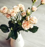 Miller White Flower Port