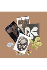 PAR Van Dyke kit diy