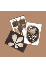 PAR Van Dyke kit diy