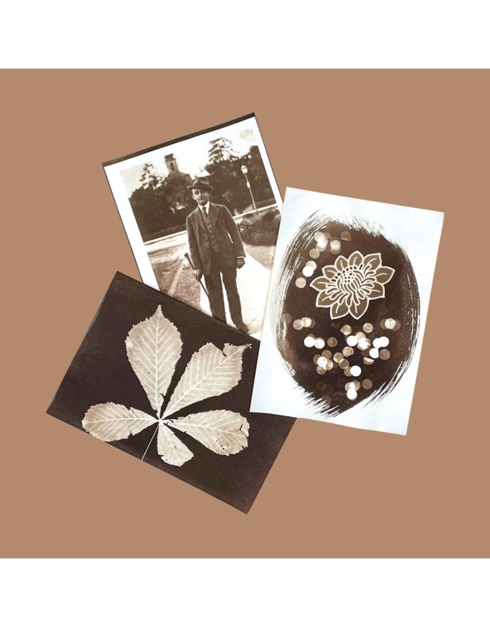 PAR Van Dyke kit diy
