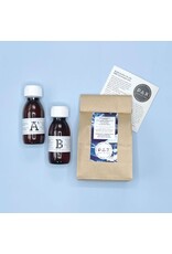 PAR Cyanotype navulling 2x100ml