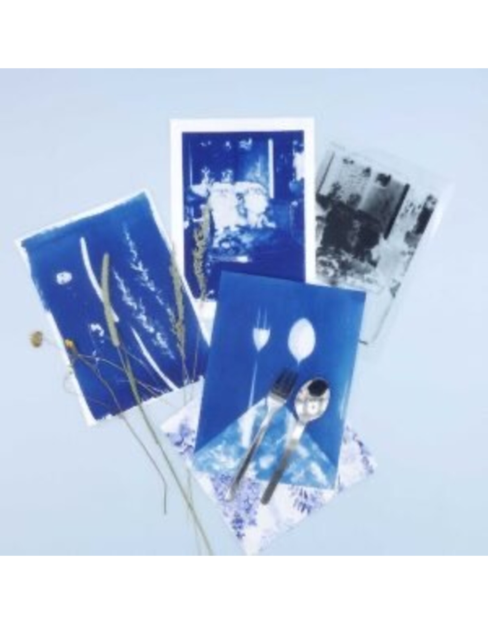 PAR Kit cyanotype diy