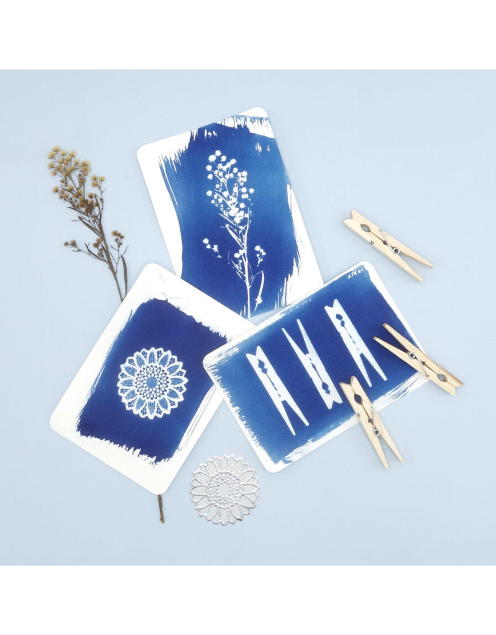PAR Cyanotype kit poskaarten