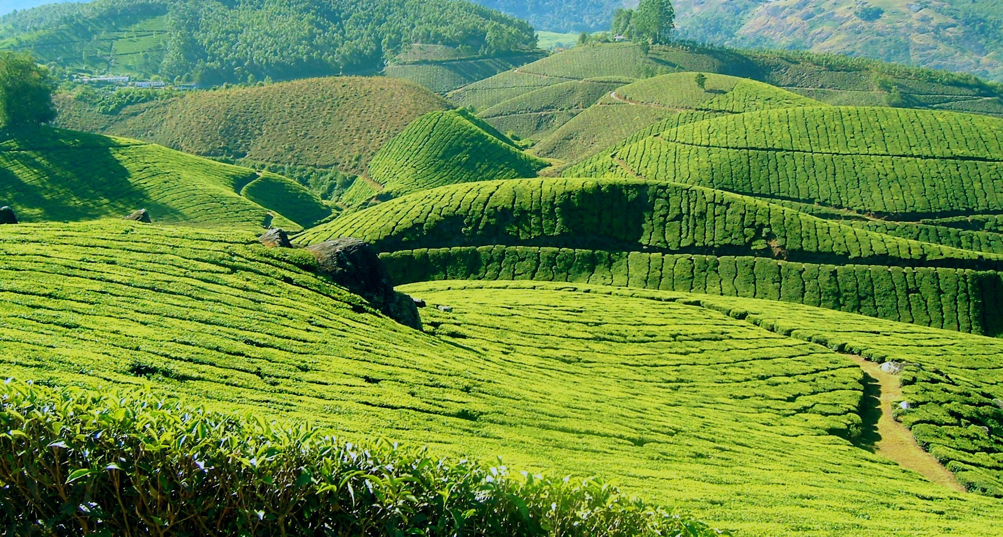 Voyage annuel en Chine