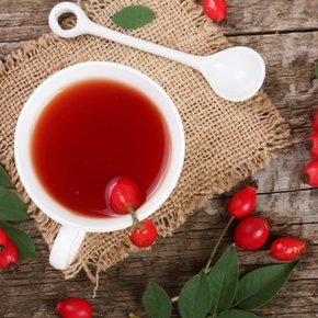 Abführend Abführend