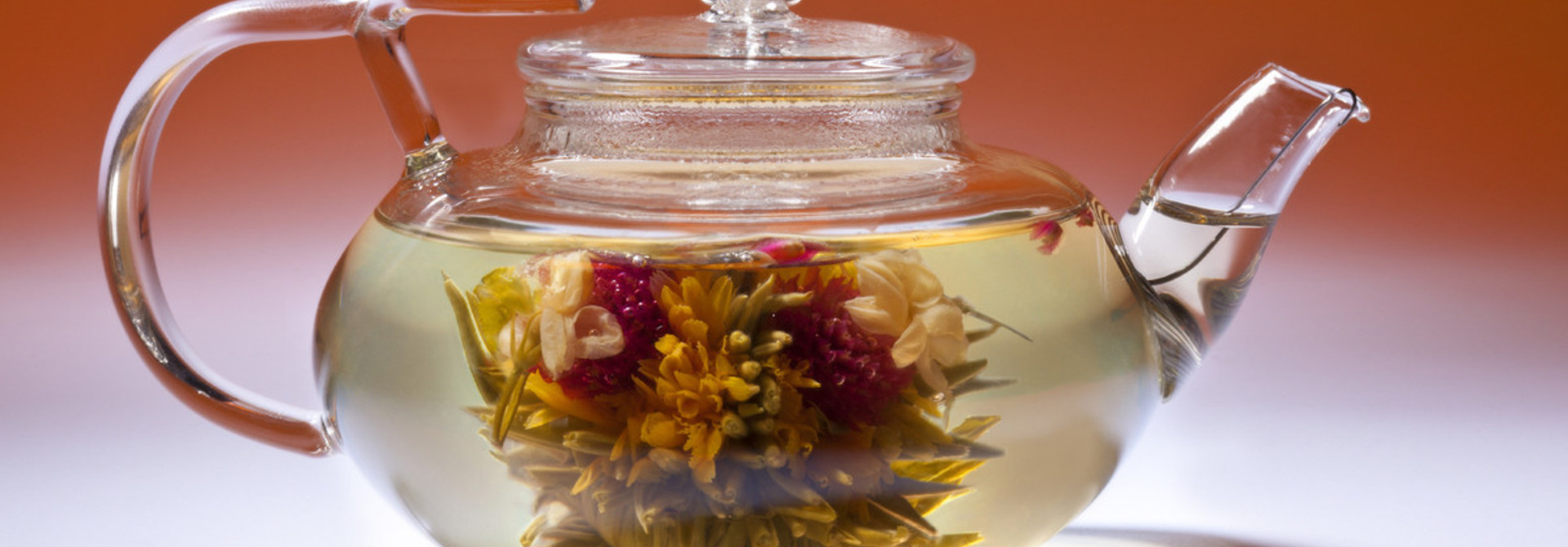 Fleur de thé + théière