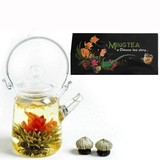 6 Fleurs de Thé + Petite Théière 350ml en Verre