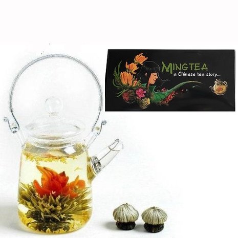 6 Theebloemen + Theepotje 350ml in Glas 6 Theebloemen + Theepotje 350ml in Glas