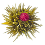 8 Oriental Beauty Teeblumen 8 Oriental Beauty Teeblumen