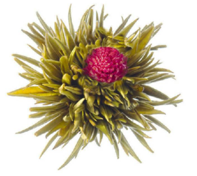 8 Oriental Beauty Teeblumen