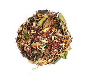 Winter-Boost: Mango- Ingwer BIO
