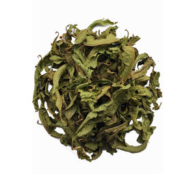 Kräutertee: Verbena BIO Kräutertee: Verbena BIO