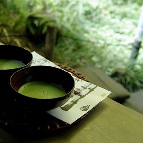 Matcha Matcha