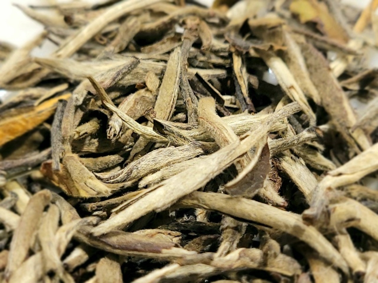 Witte Thee White silver Needle Fuding Imperial