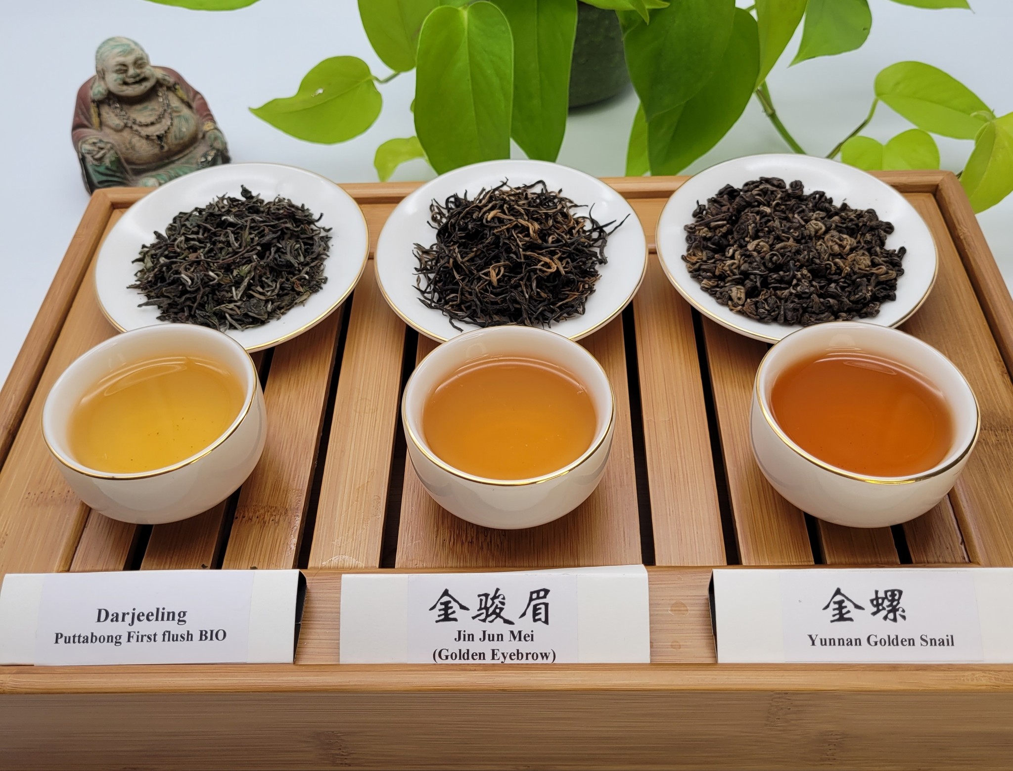Temps d'infusion des thés : vert, noir, rouge, blanc, aromatisé…