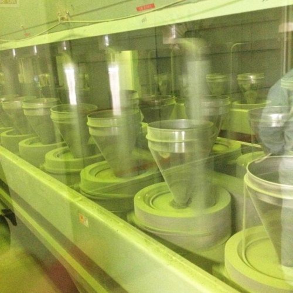Matcha Grade A "Stone Mill" aus Japan 30g + 30g Nachfüllbeutel Matcha Grade A "Stone Mill" aus Japan 30g + 30g Nachfüllbeutel