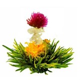 8 Flora Breeze Theebloemen 8 Flora Breeze Theebloemen