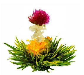 8 Flora Breeze Teeblumen 8 Flora Breeze Teeblumen