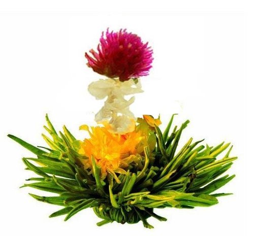 8 Flora Breeze Teeblumen 8 Flora Breeze Teeblumen