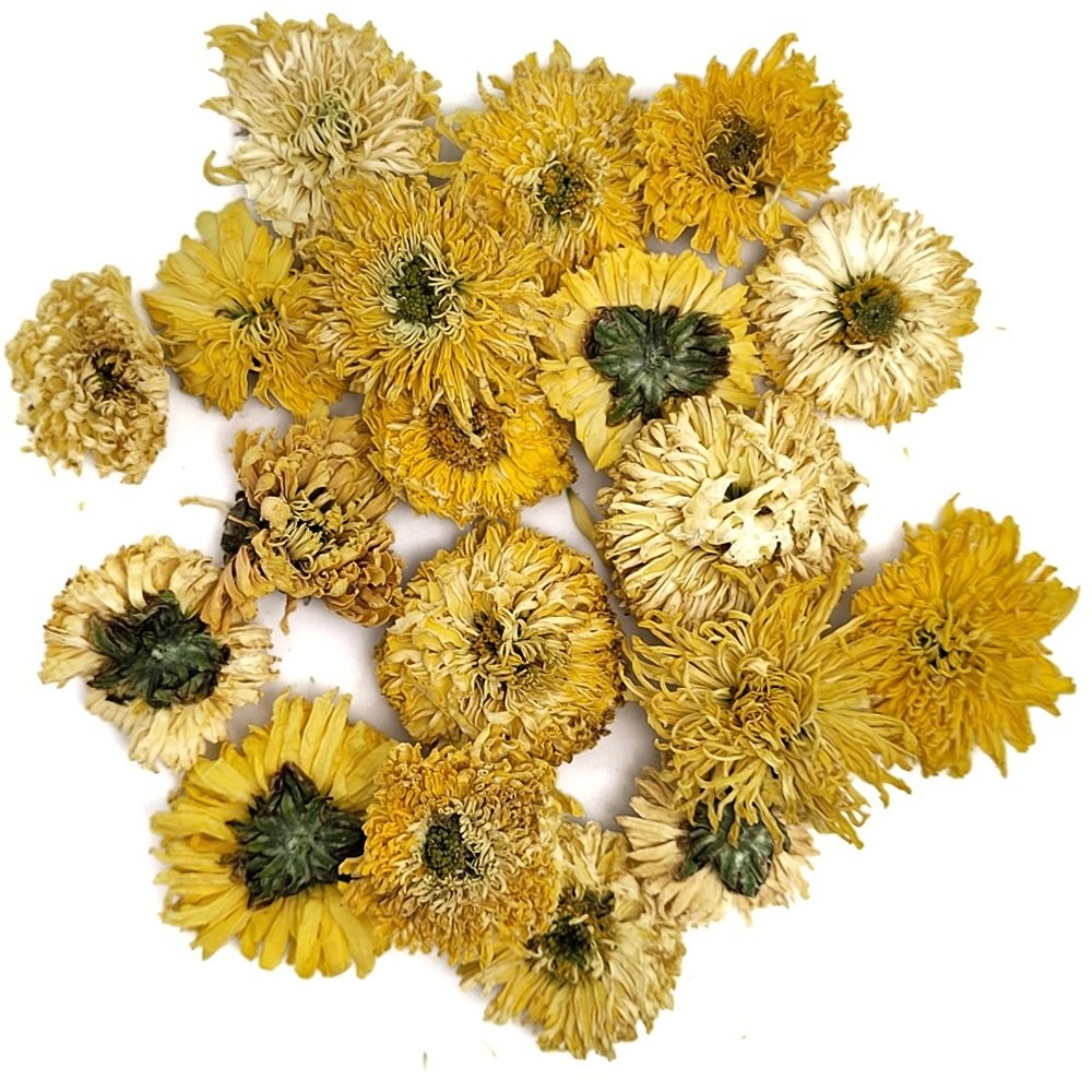 Chrysanthèmes jaunes Chrysanthèmes jaunes