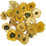 Gelber Chrysanthemen Tee Gelber Chrysanthemen Tee