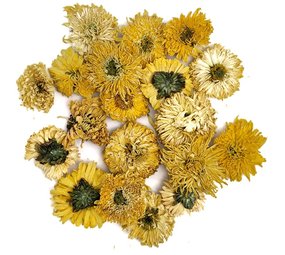 Chrysanthèmes jaunes Chrysanthèmes jaunes
