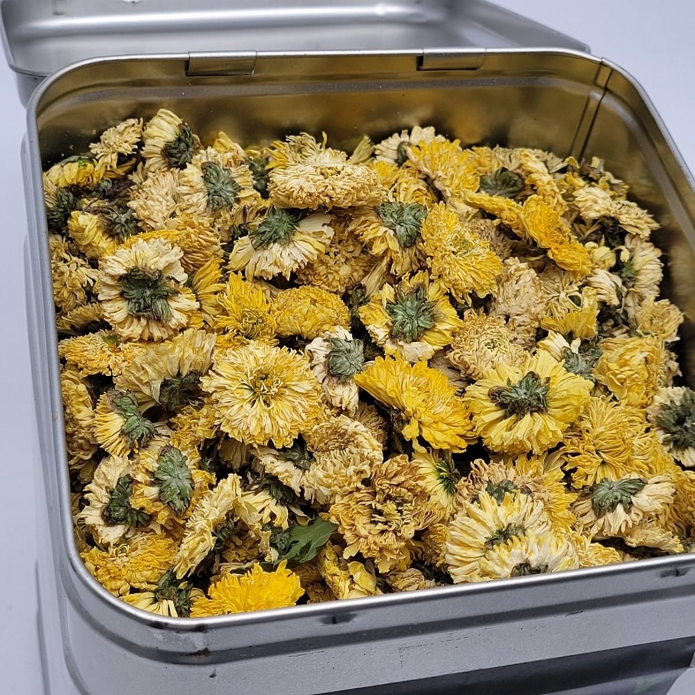 Chrysanthèmes jaunes Chrysanthèmes jaunes