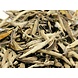 Witte Thee White silver Needle Fuding Imperial 2022 Witte Thee White silver Needle Fuding Imperial 2022