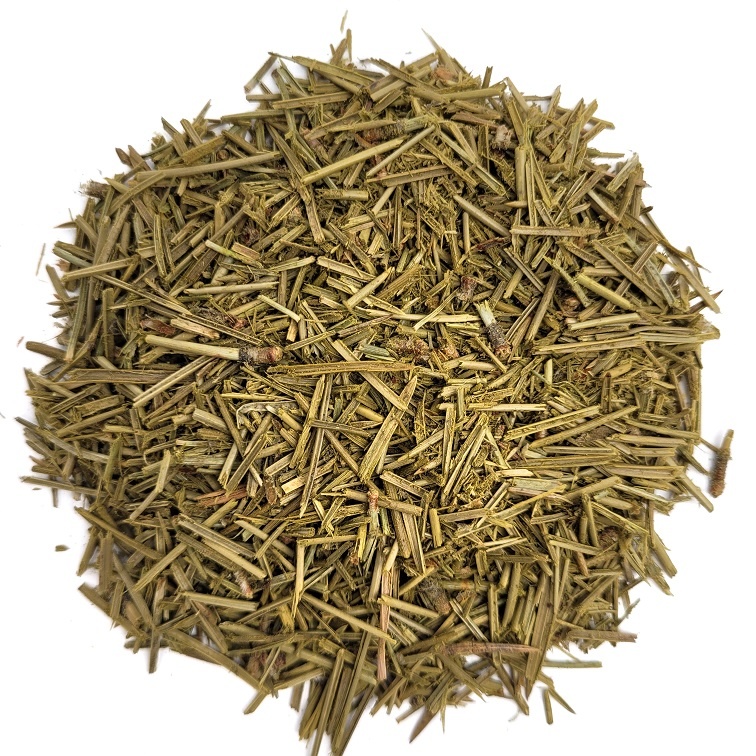 Aiguilles De Pin Blanc Oriental - 1 Livre (env. 453g) Bio, Cueillies Fraîches Sur Commande