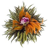 8 Fleurs de Thé Rose Garden 8 Fleurs de Thé Rose Garden