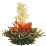 8 Summer Dream Teeblumen 8 Summer Dream Teeblumen