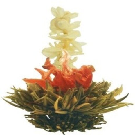 8 Summer Dream Theebloemen