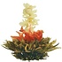 8 Summer Dream Teeblumen 8 Summer Dream Teeblumen