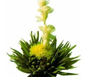 8 Fleurs de Thé Jasmine Fairy 8 Fleurs de Thé Jasmine Fairy