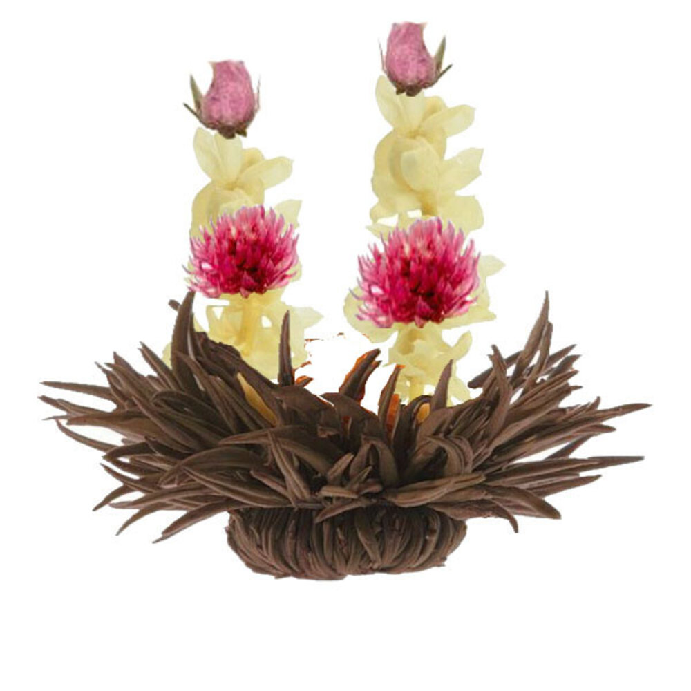 8 Rose Delight Teeblumen 8 Rose Delight Teeblumen