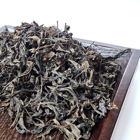 Alishan Competition Fine Grade Qing Xin Oolong Tee Alishan Competition Fine Grade Qing Xin Oolong Tee