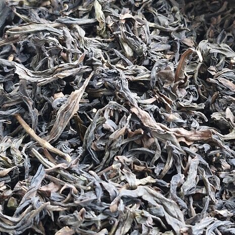 Alishan Competition Fine Grade Qing Xin Thé Oolong