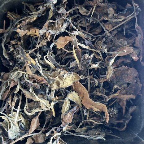 Thé Blanc Yunnan White GABA