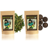 Frühlings Reset Tee Set – Grüner Tee & Pu Erh Tee