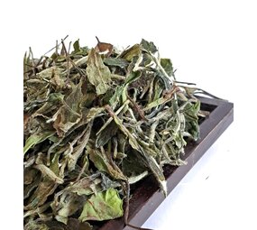 Weißer Tee Fuding Bai Mu Dan - Authentische Auswahl Weißer Tee Fuding Bai Mu Dan - Authentische Auswahl
