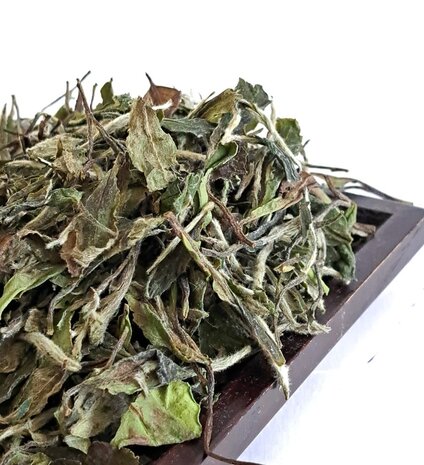 Weißer Tee Fuding Bai Mu Dan - Authentische Auswahl Weißer Tee Fuding Bai Mu Dan - Authentische Auswahl
