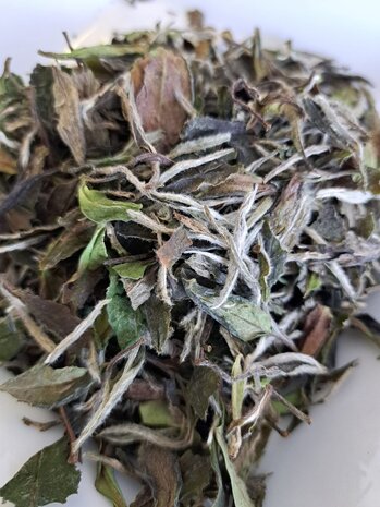 Thé blanc Fuding Bai Mu Dan - Sélection Authentique Thé blanc Fuding Bai Mu Dan - Sélection Authentique